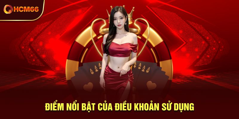 Những đặc điểm đáng chú ý của điều khoản sử dụng